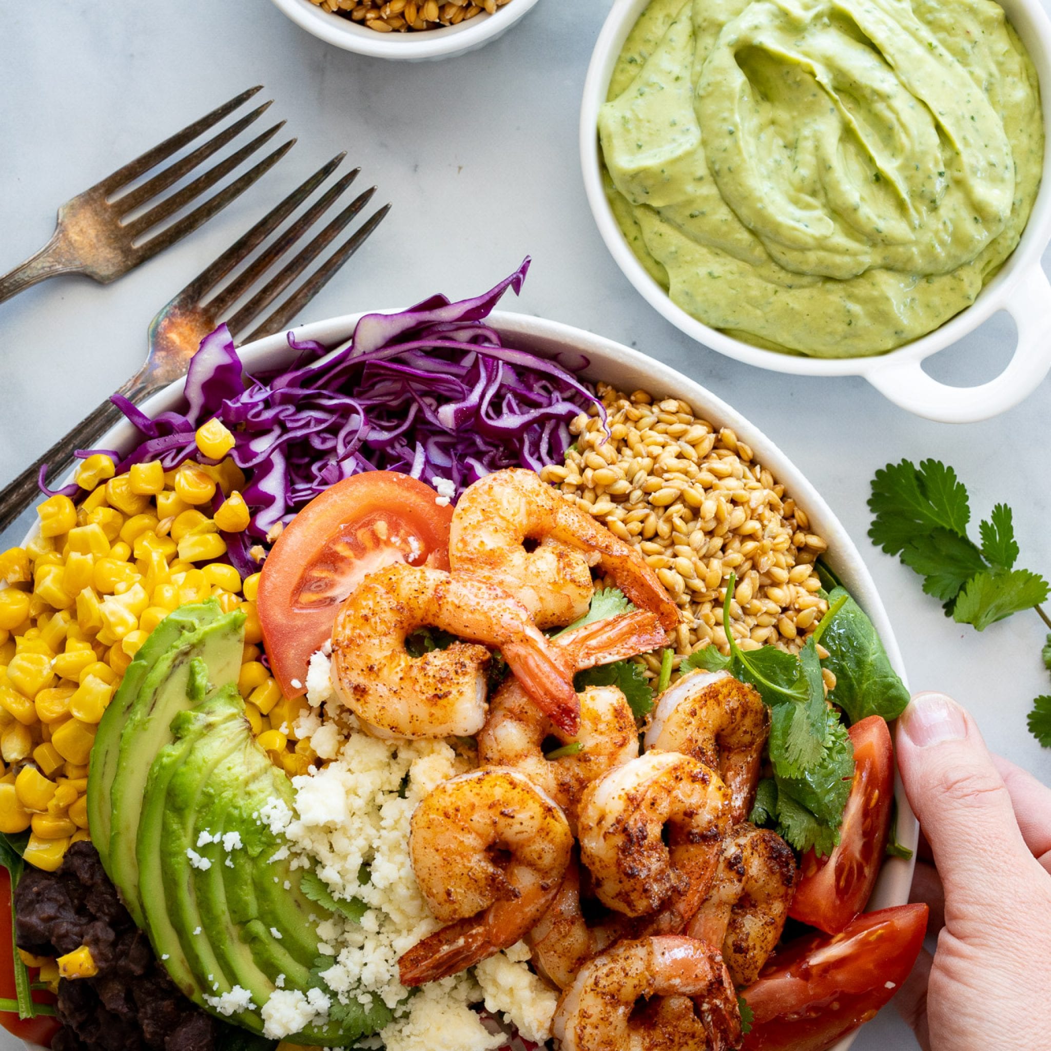 Spicy Shrimp Buddha Bowl With Sprouted Einkorn