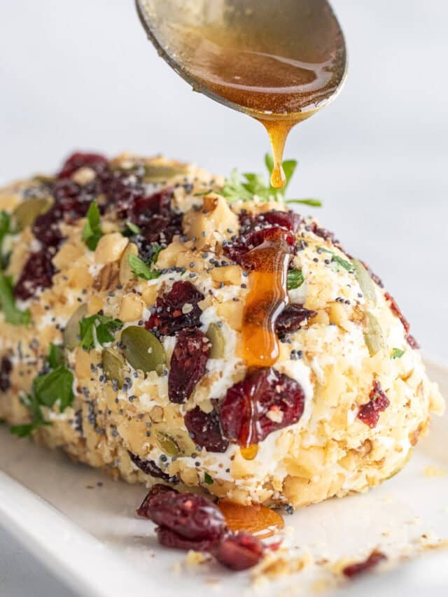 Simple Goat Cheese Appetizer Log