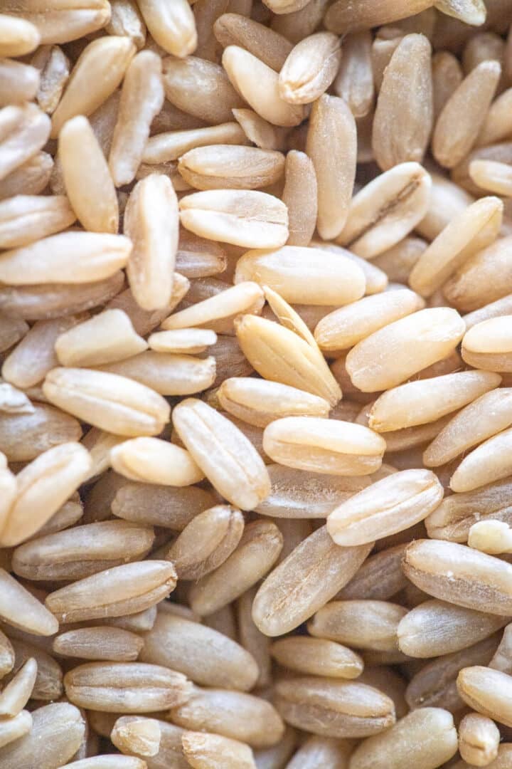 Breakfast Oat Groats Instant Pot Recipe A Red Spatula