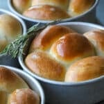 Dinner rolls in round baking pans with fresh rosemary on the side.