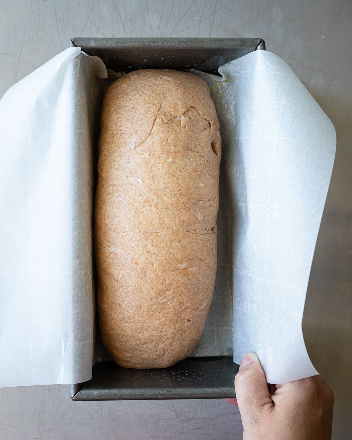 Loaf of bread in a metal loaf pan lined with parchment paper.