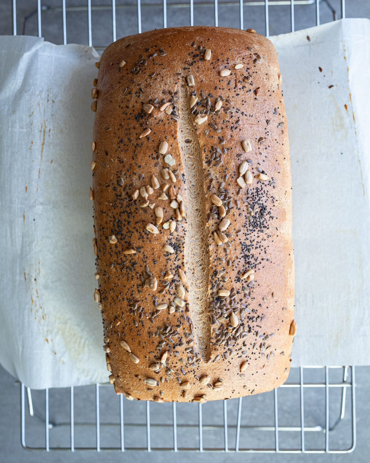 Baked sprouted wheat bread on a cooling rack.