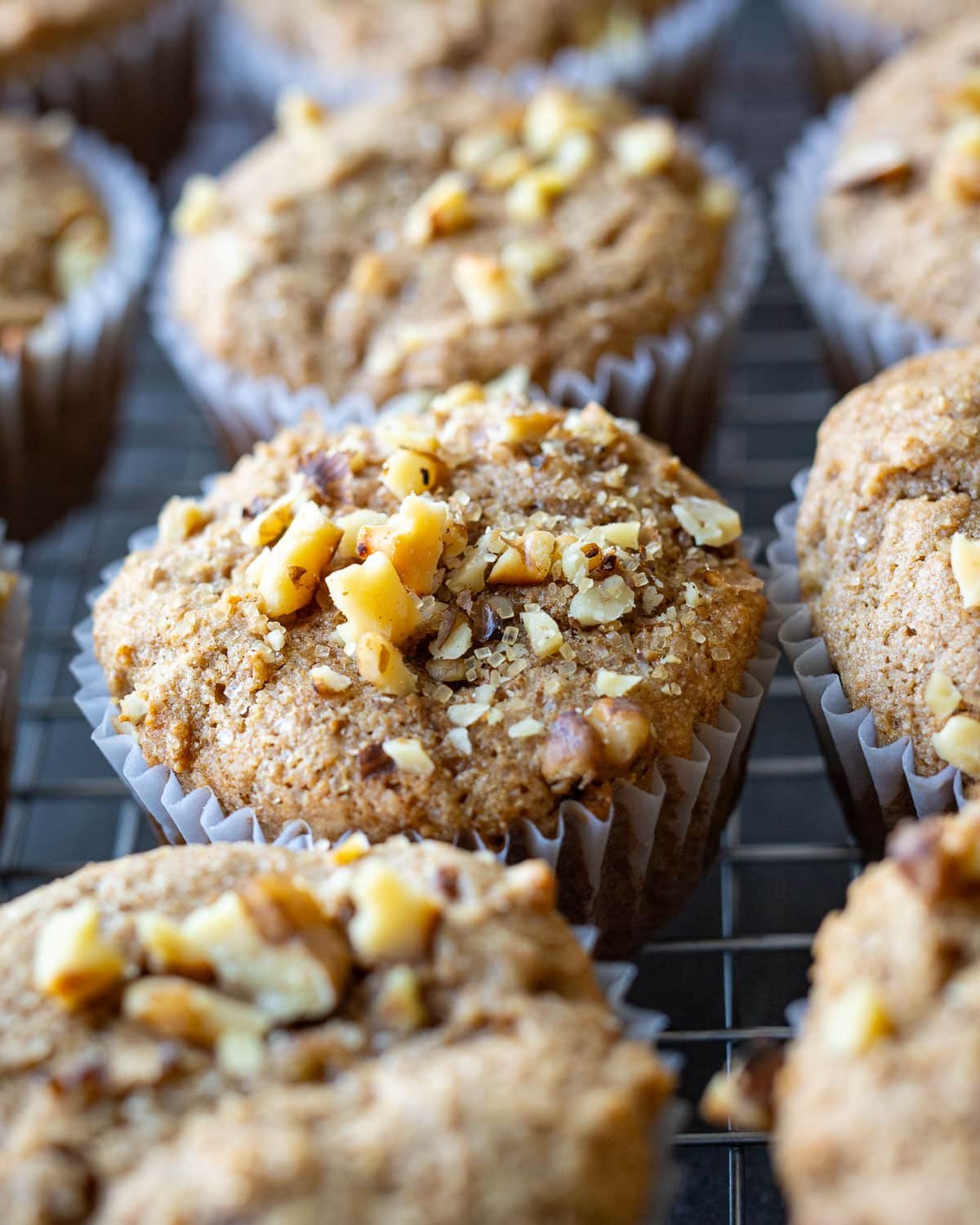 Sprouted wheat flour muffins on a cooling rack with chopped walnuts on top. 